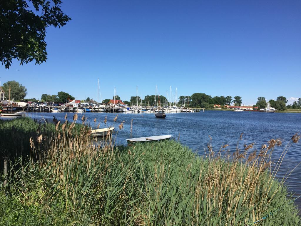 Appartementanlage Zur Seemoewe Insel Poel Esterno foto